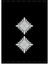 Inspector